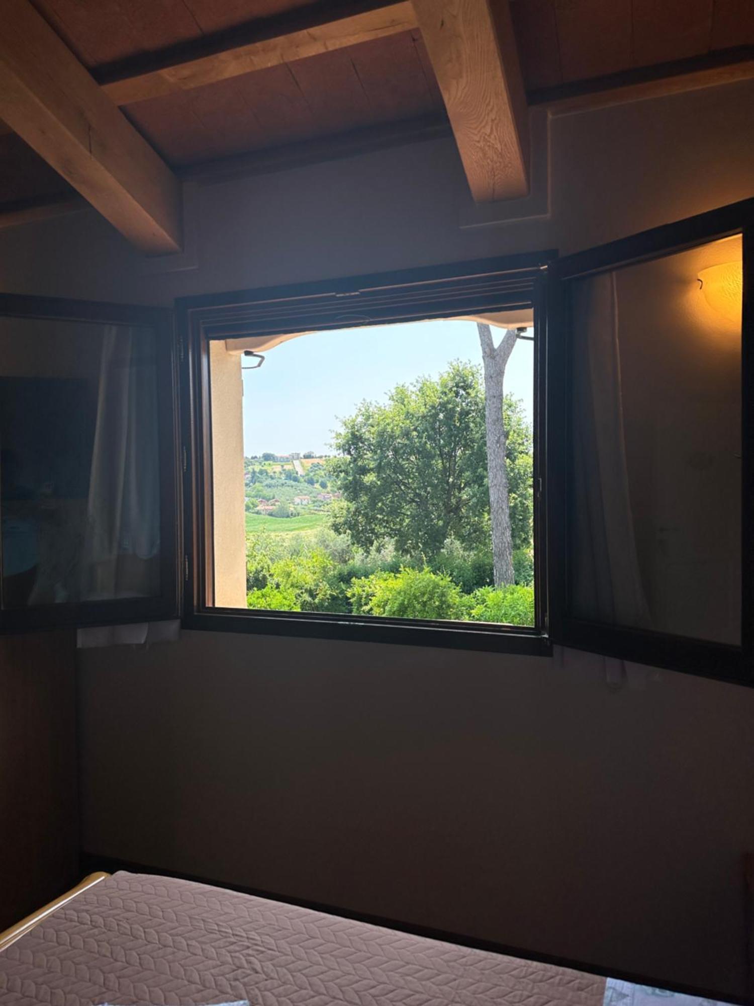 Ca' Dei Gelsi B & B 科里亚诺 外观 照片