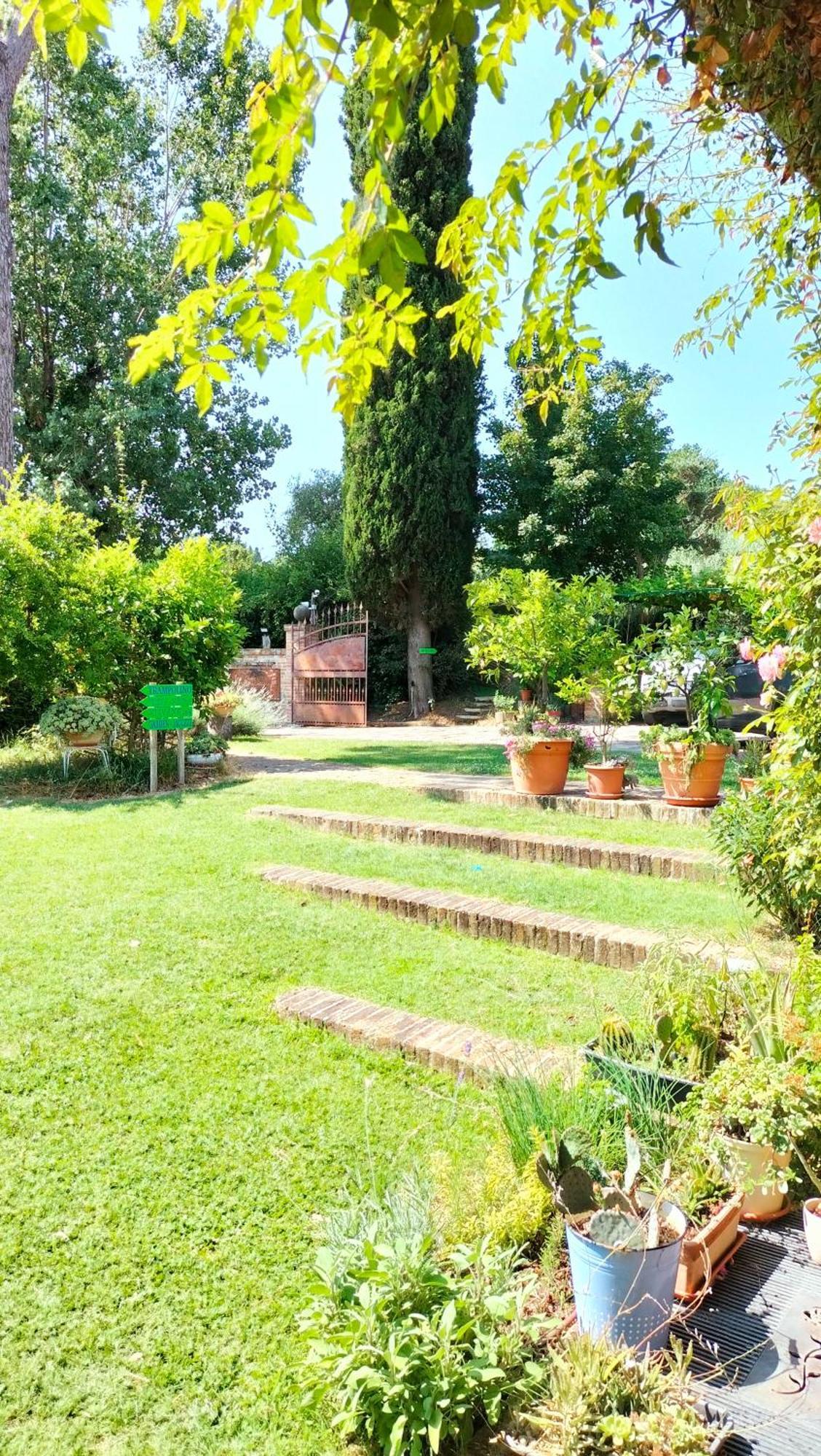 Ca' Dei Gelsi B & B 科里亚诺 外观 照片