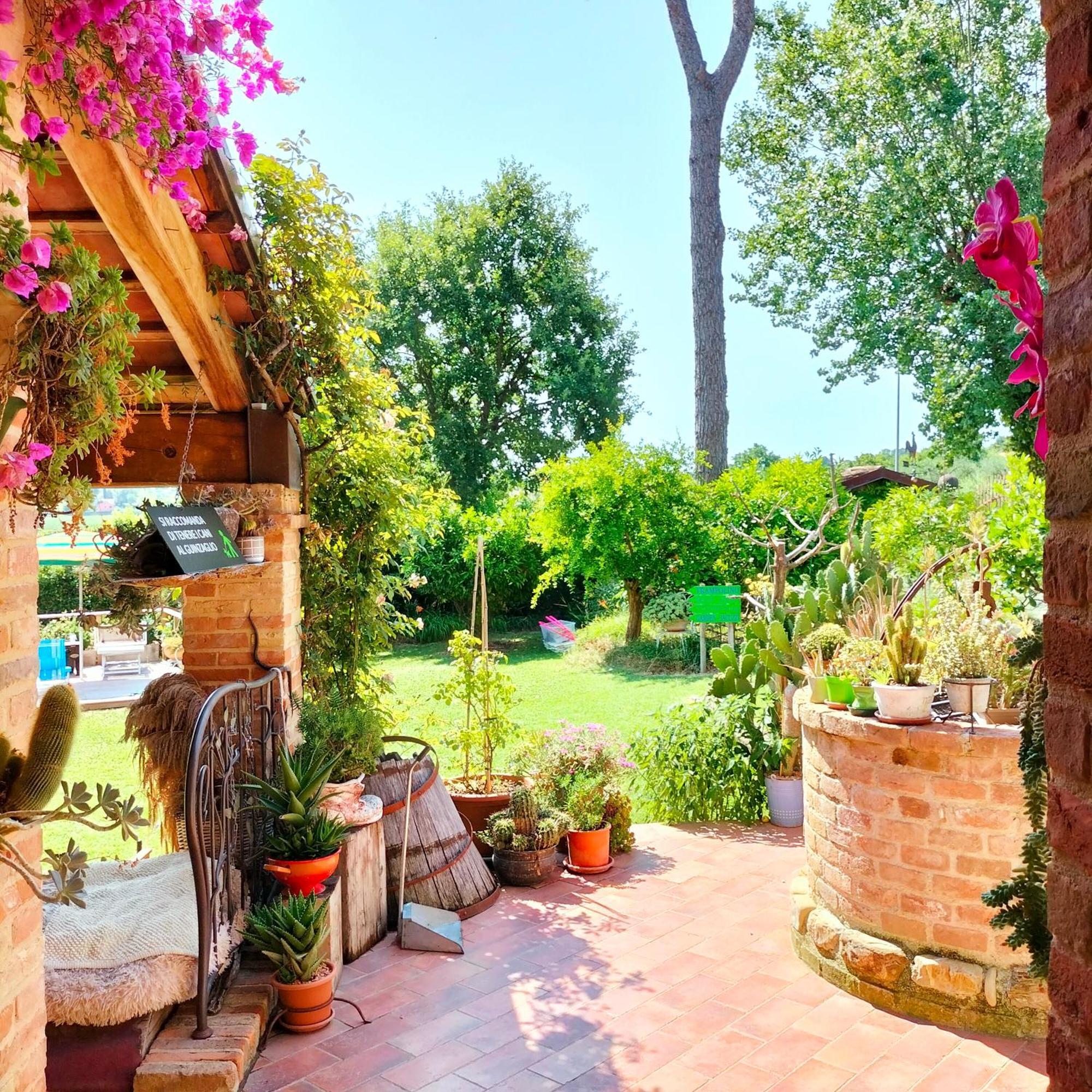Ca' Dei Gelsi B & B 科里亚诺 外观 照片