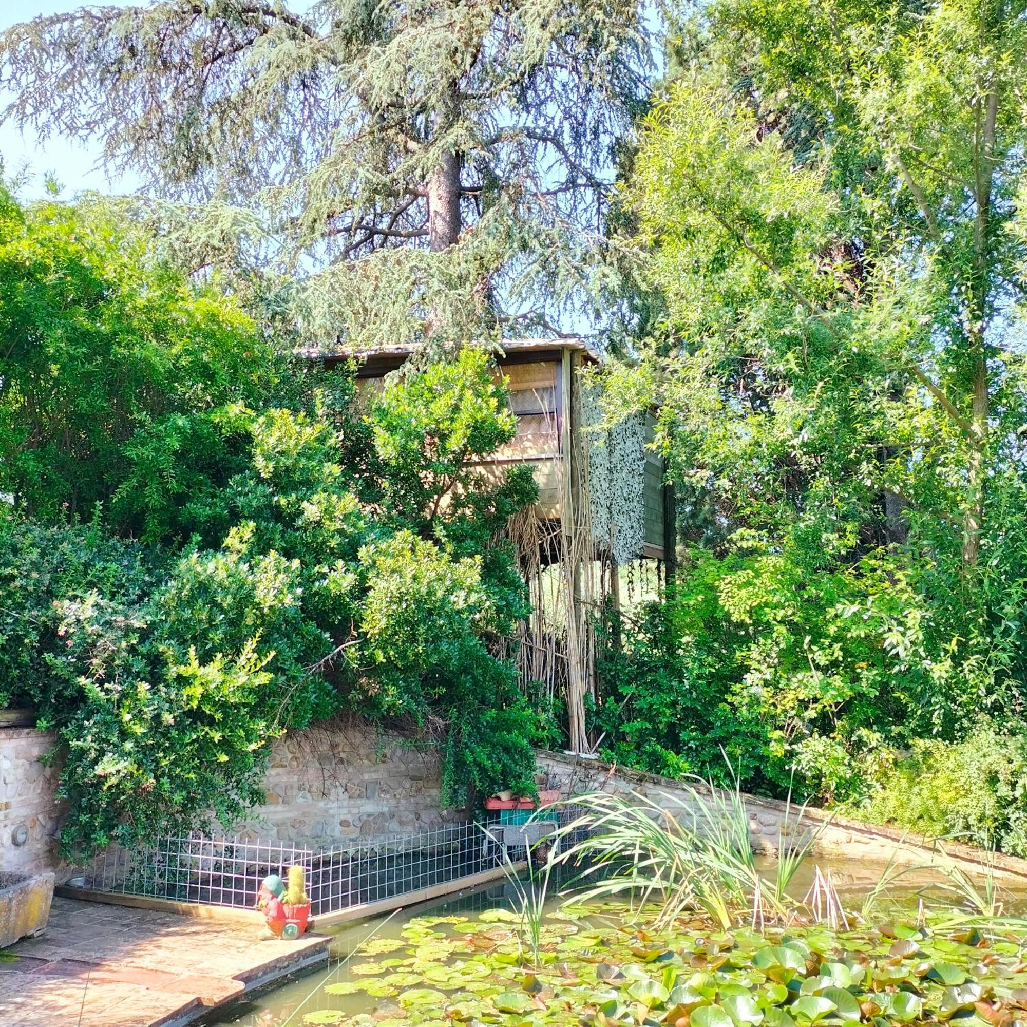 Ca' Dei Gelsi B & B 科里亚诺 外观 照片