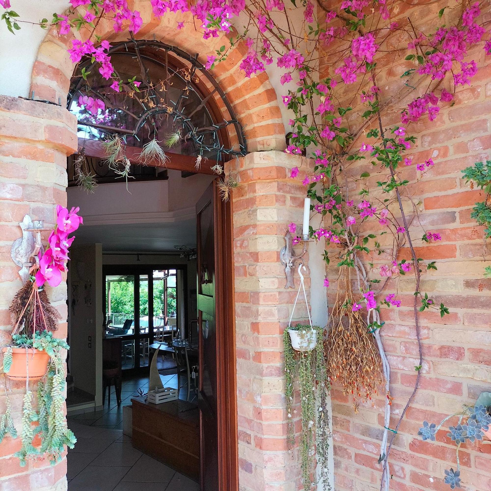 Ca' Dei Gelsi B & B 科里亚诺 外观 照片