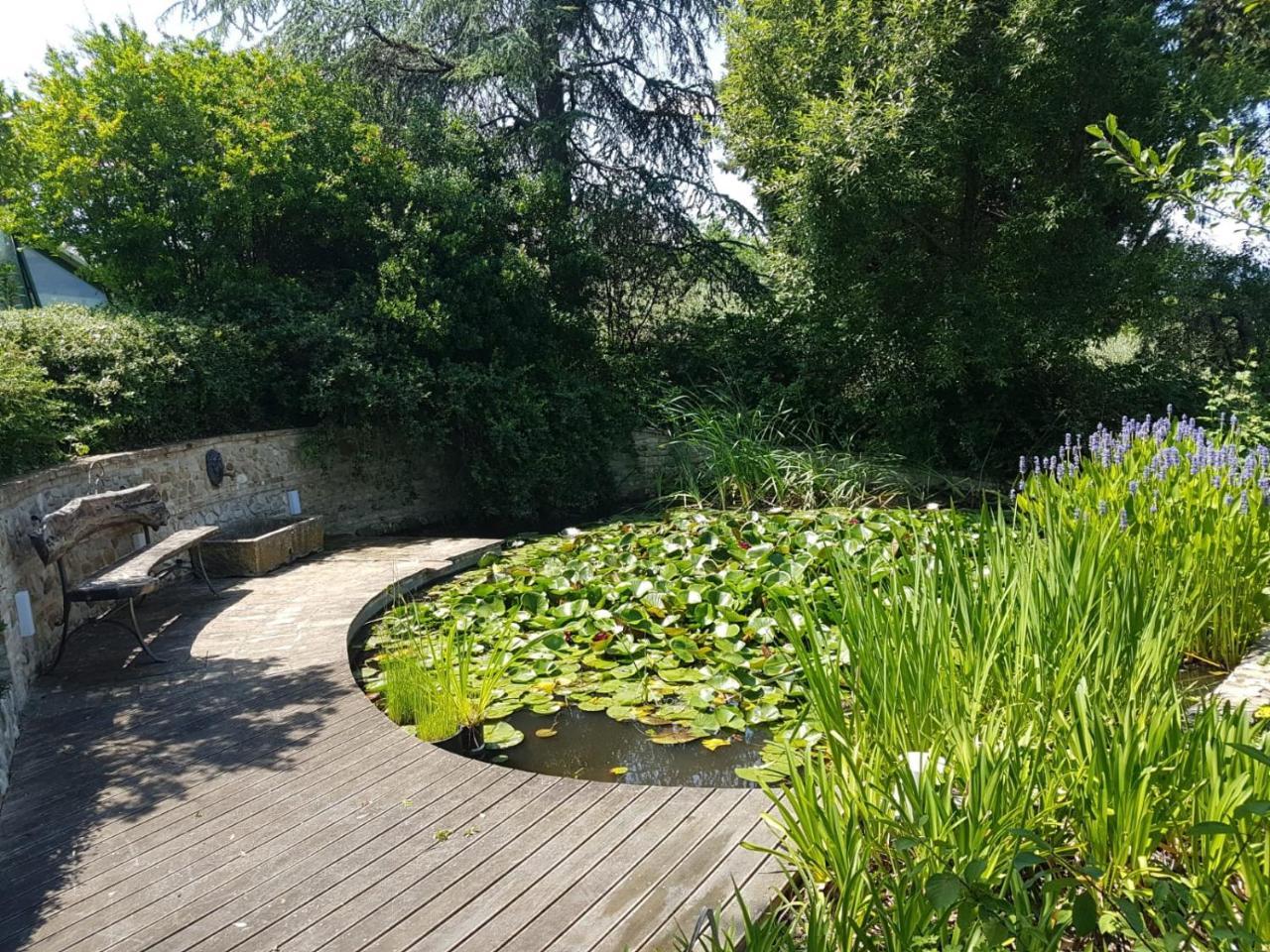 Ca' Dei Gelsi B & B 科里亚诺 外观 照片